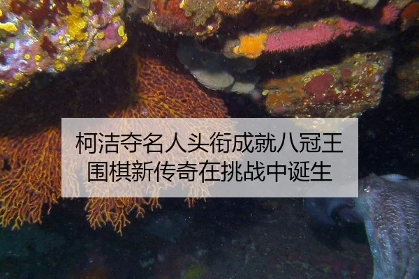 柯洁夺名人头衔成就八冠王 围棋新传奇在挑战中诞生