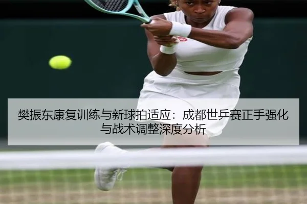 樊振东康复训练与新球拍适应：成都世乒赛正手强化与战术调整深度分析