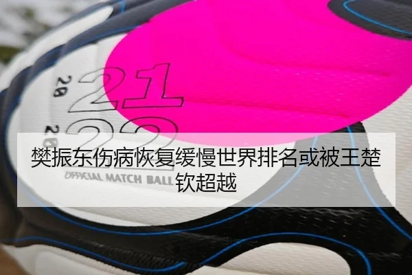 fan-zhen-dong-shang-bing-hui-fu-huan-man-shi-jie-pai-ming-huo-bei-wang-chu-qin-chao-yue-3-152.jpg
