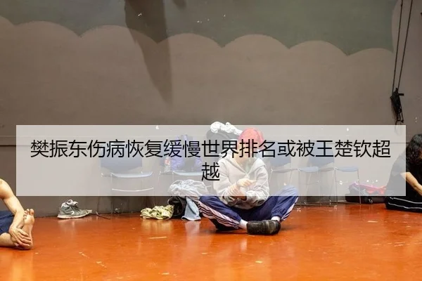 樊振东伤病恢复缓慢世界排名或被王楚钦超越